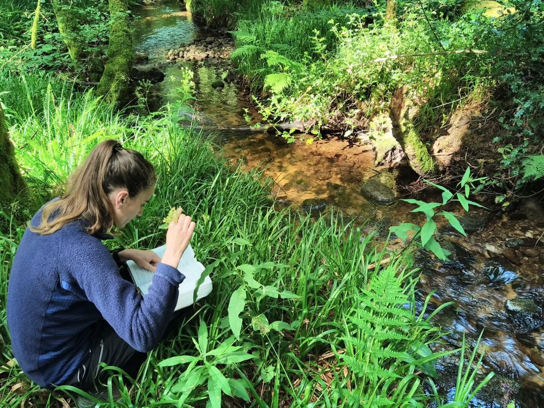 Cartographie des habitats humides